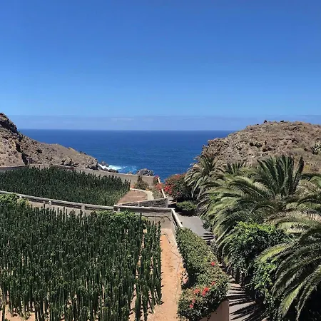 Finca La Punta Icod De Los Vinos Extérieur photo