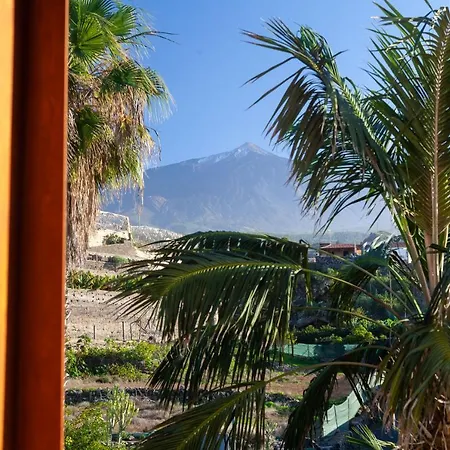 Finca La Punta Icod De Los Vinos Extérieur photo