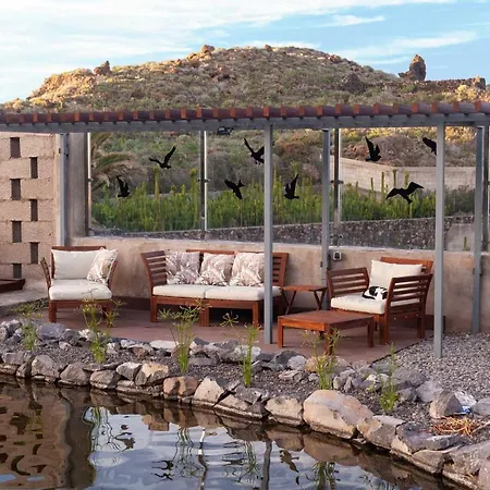 Finca La Punta Icod De Los Vinos Extérieur photo