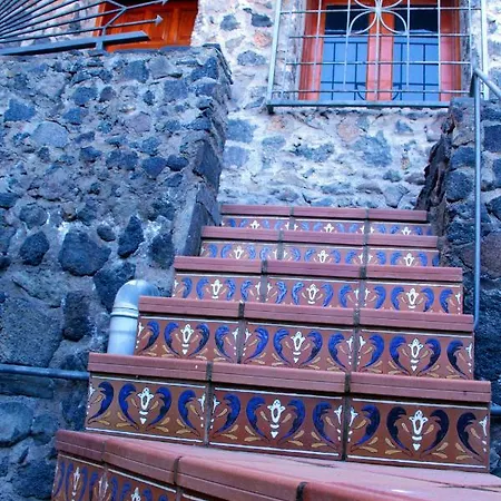 Finca La Punta Icod De Los Vinos Extérieur photo