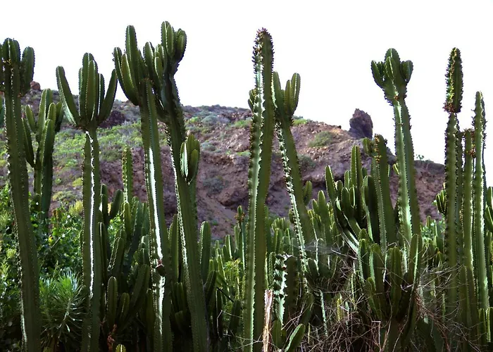 Finca La Punta