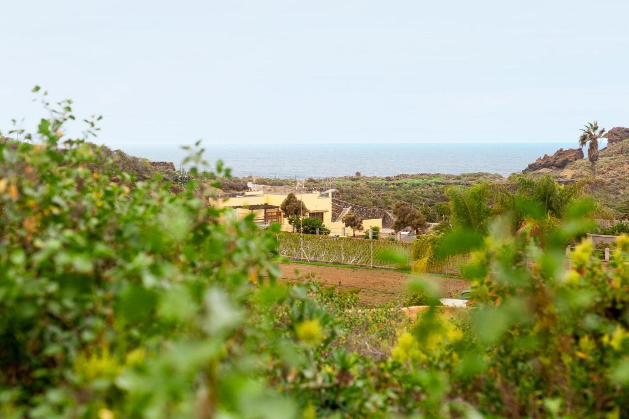 Apartament La Punta Icod De Los Vinos